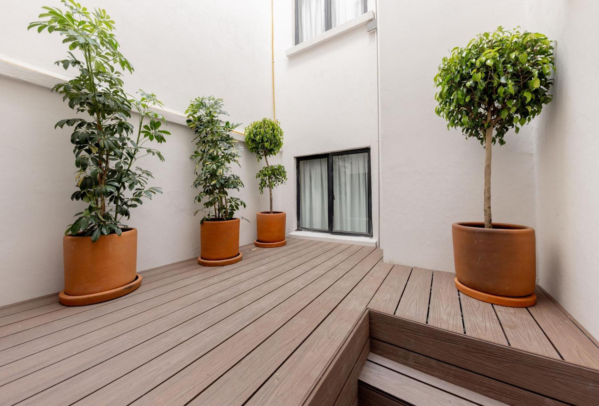 Baranda Ocho Apartment Мексико Сити Екстериор снимка